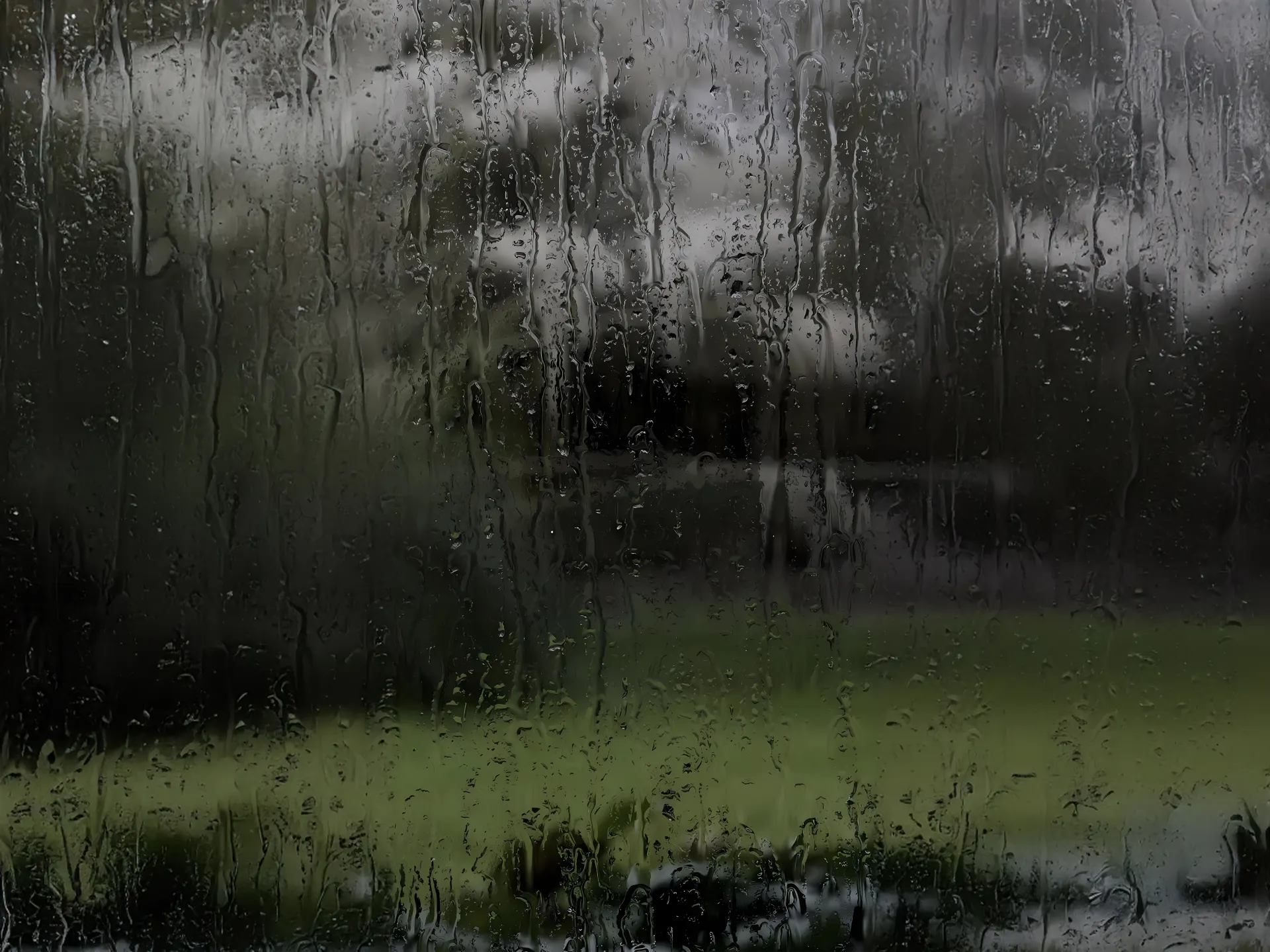 Rainy Window Dark Forest Wallpaper