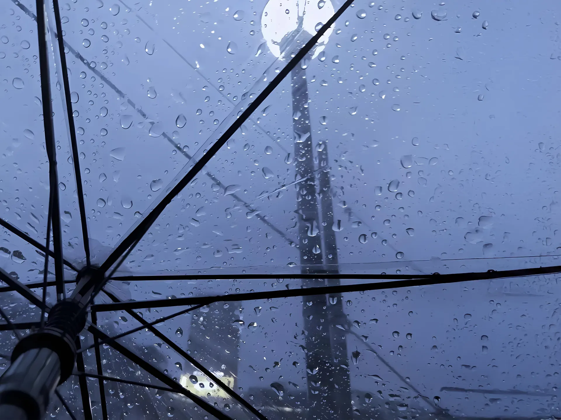 Tokyo Skytree Through Rainy Umbrella Wallpaper