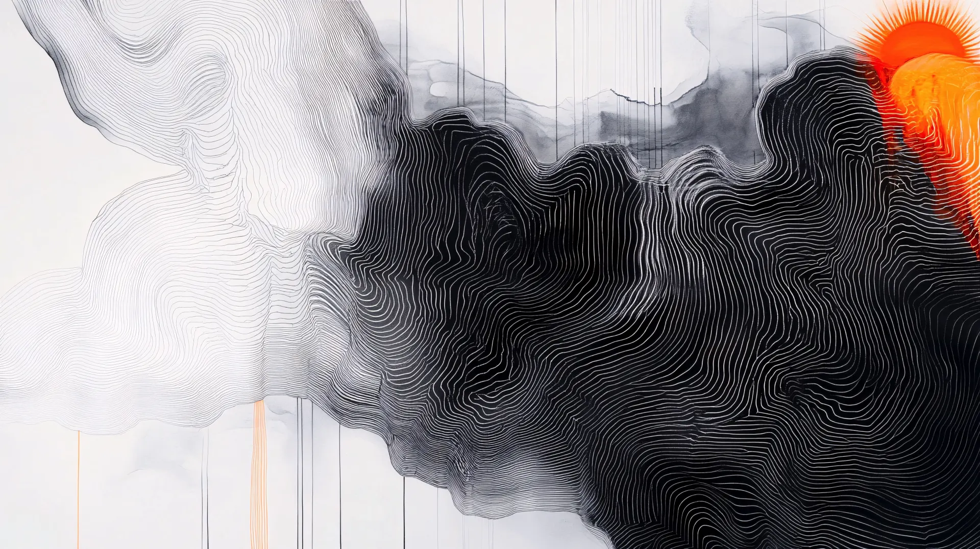 Black and White Topographic Lines Abstract Wallpaper