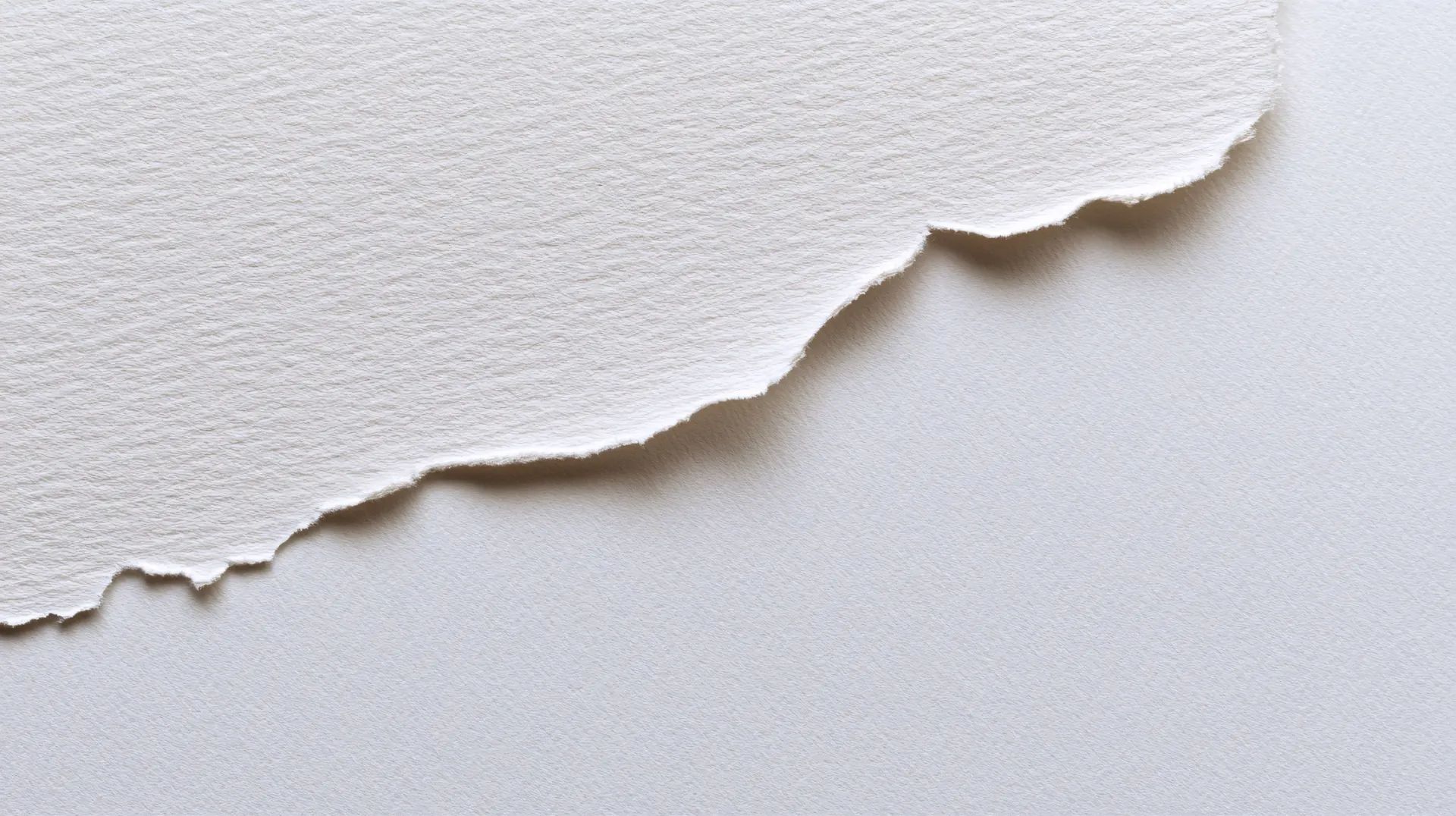 Torn White Paper Texture Wallpaper