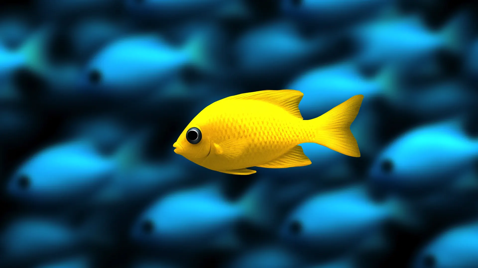 Yellow Fish Among Blue Fish Wallpaper