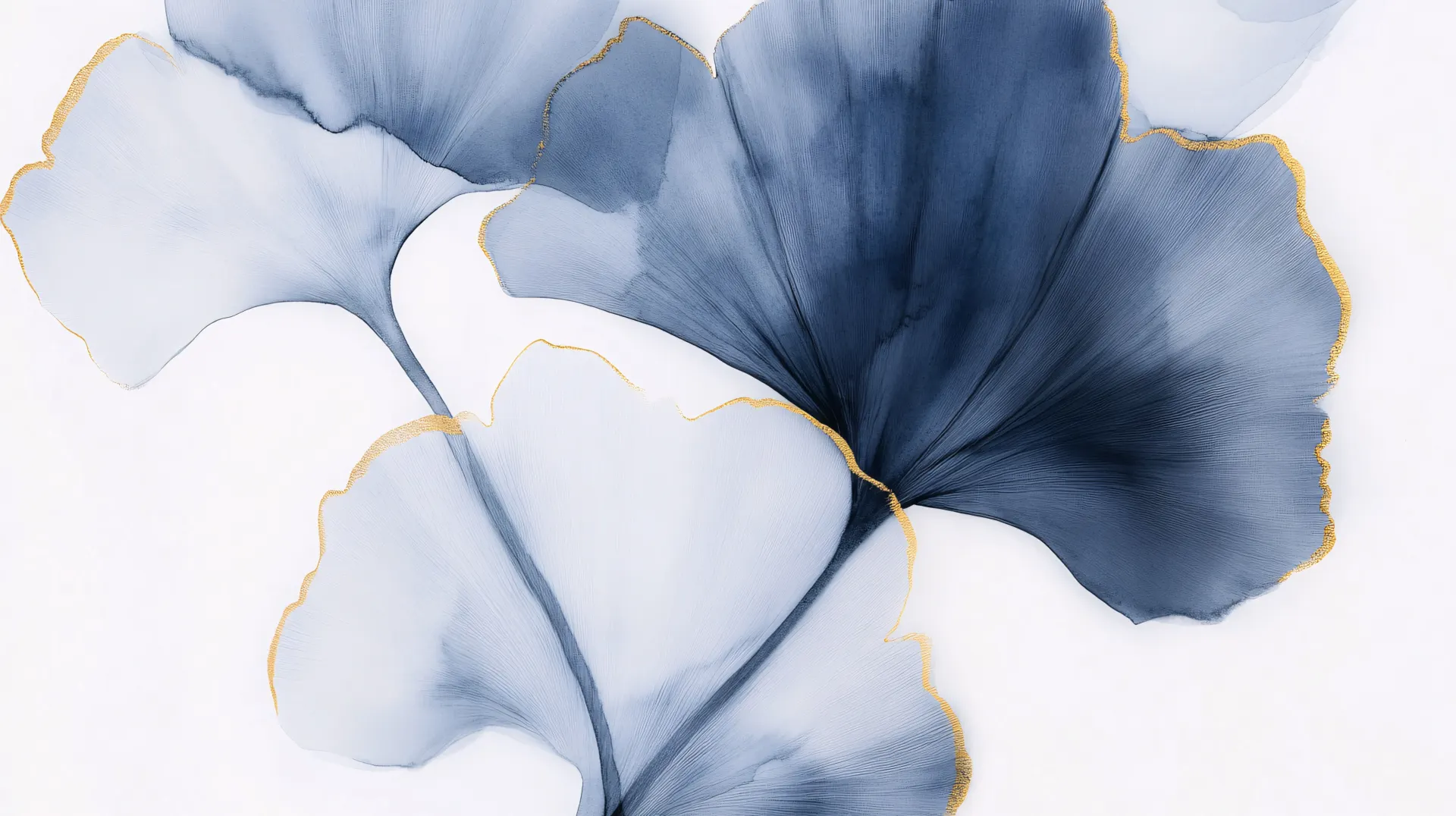 Blue Ginkgo Leaves with Gold Edges Wallpaper