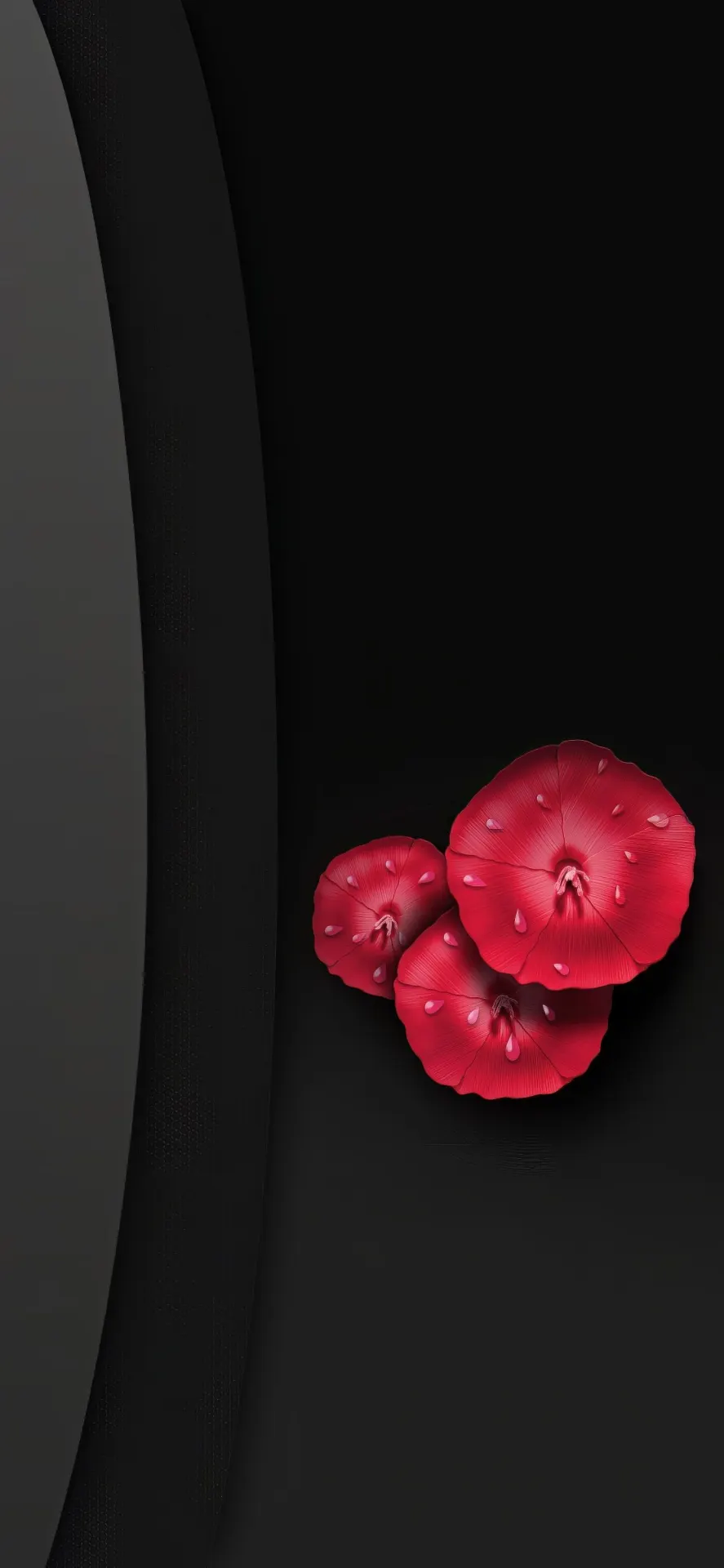 Red Flowers on Black Minimalist Wallpaper